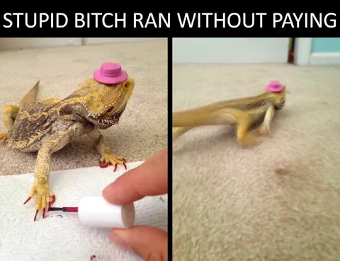 Stupid Bitch Ran Without Paying