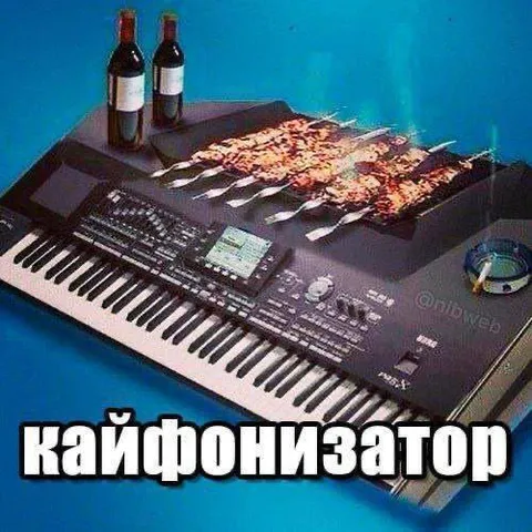 Кайфонизатор с шашлыком