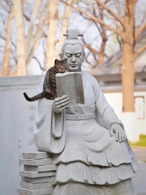 猫咪陪雕像读书