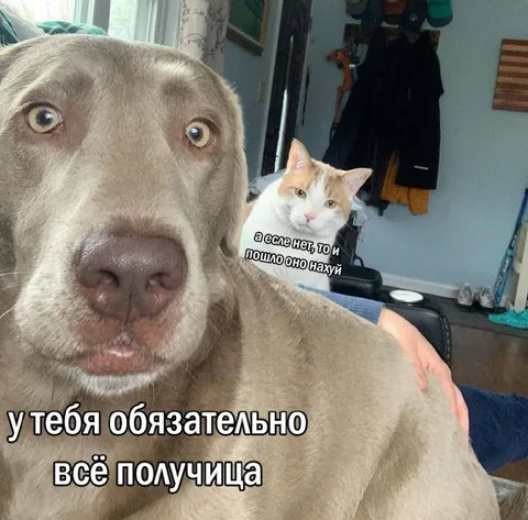 У тебя обязательно всё получится