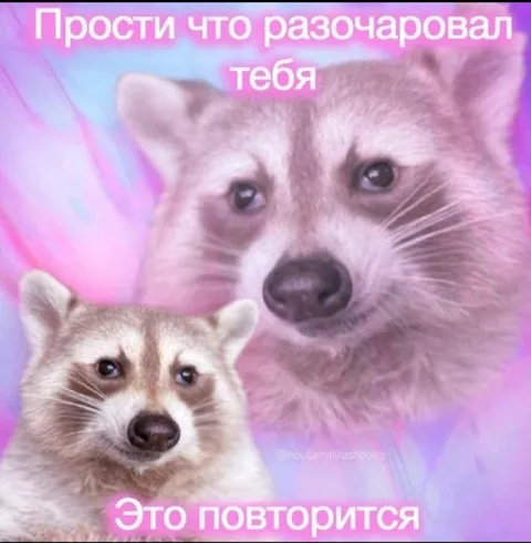 Прости что разочаровал тебя
