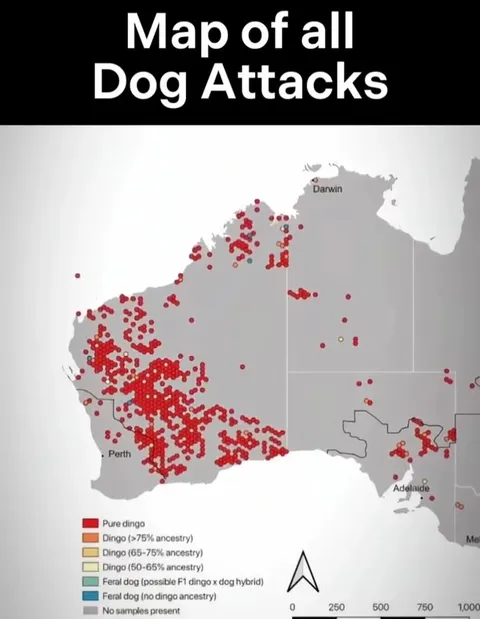 Map of All Dog Attacks Reveals a Fish