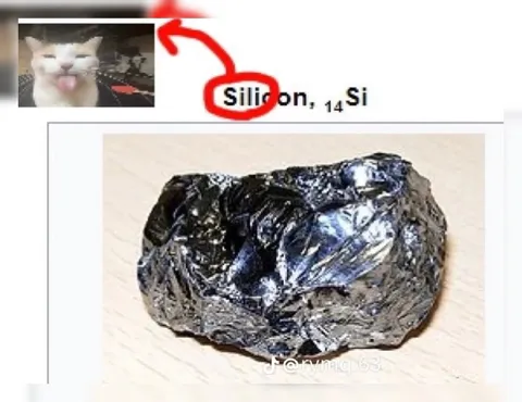 Silicon Cat Reaction