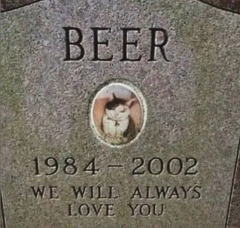 Beer the Cat Memorial