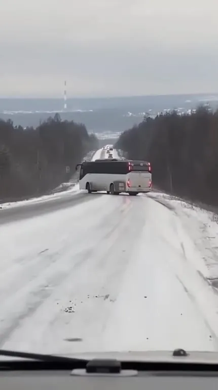 Автобус и коты за рулём