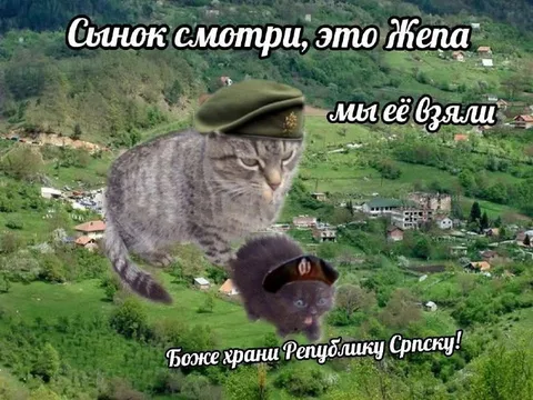 Сынок, это жена