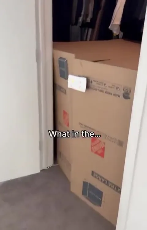 Cats in a Cardboard Hideout