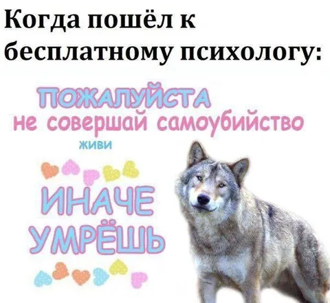 Бесплатный психолог и волк