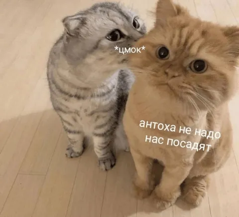 Антоха, не надо, нас посадят