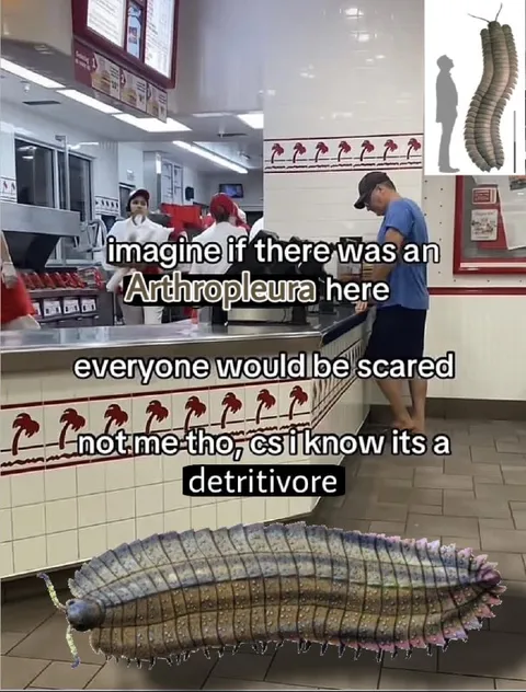 Arthropleura Detritivore Reaction