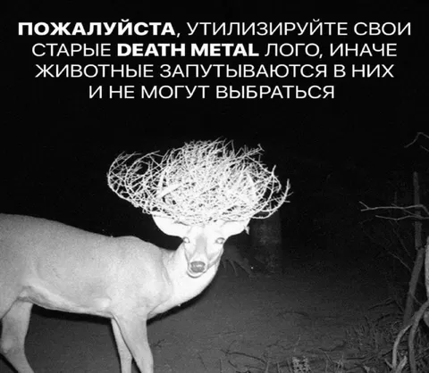 Олень запутался в логотипе