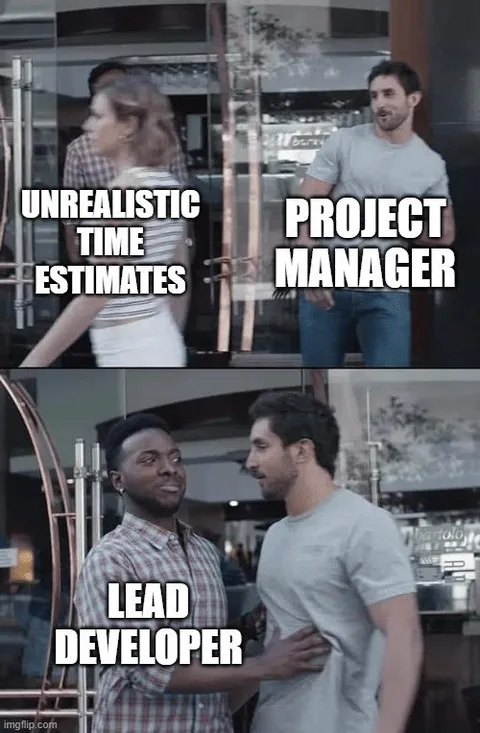 Project Manager Meets Lead Developer