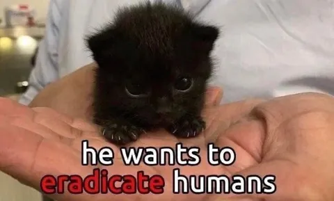 Kitten Wants to Eradicate Humans