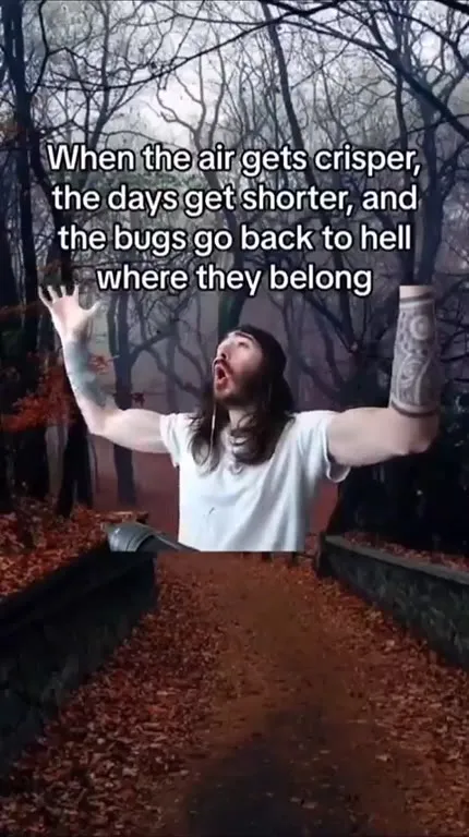 When the bugs go back to hell