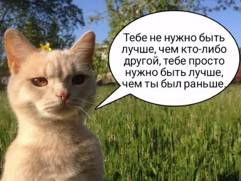 Стань лучше, чем был раньше