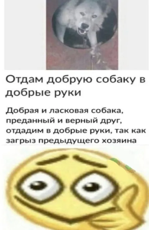 Добрая собака в добрые руки