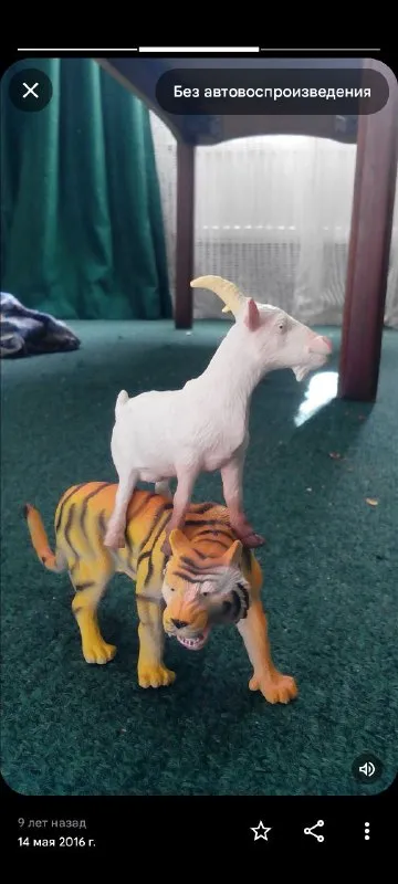 Козёл верхом на тигре