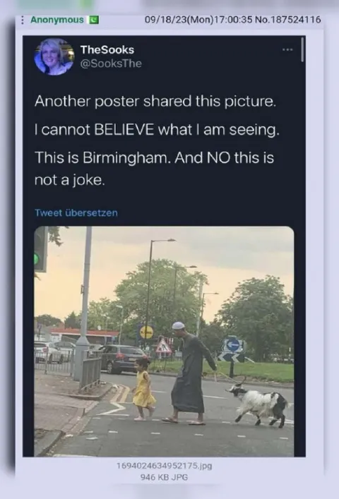 Birmingham Goat Crossing