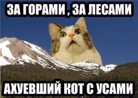 За горами за лесами кот