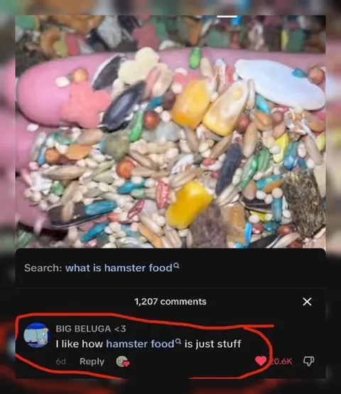 Hamster Food Is Just Stuff