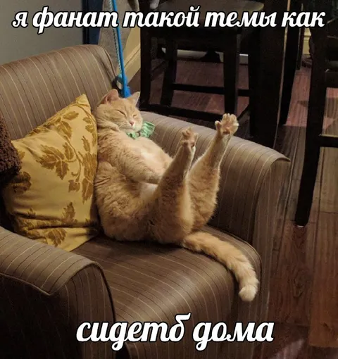 Фанат сидеть дома