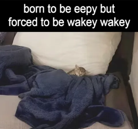 Born to Be Eepy