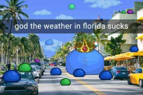Florida Weather Sucks