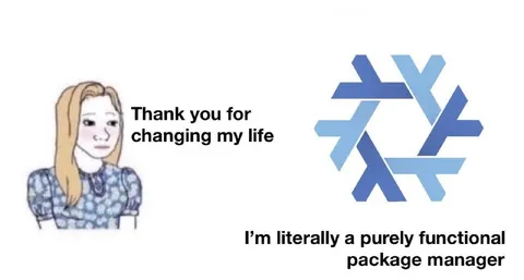 Purely Functional Package Manager