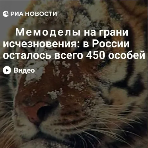 Мемоделы на грани исчезновения