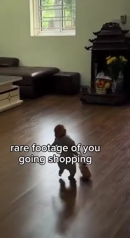 Rare Footage of You Shopping