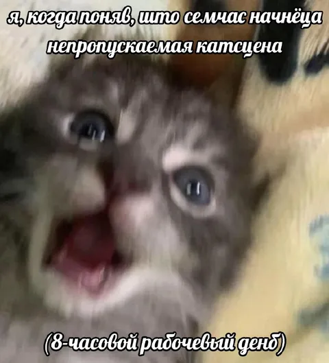 Непропускаемая катсцена на работе