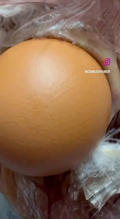 Куриное яйцо превращается в бабушку