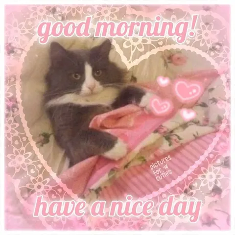Pink Good Morning Cat