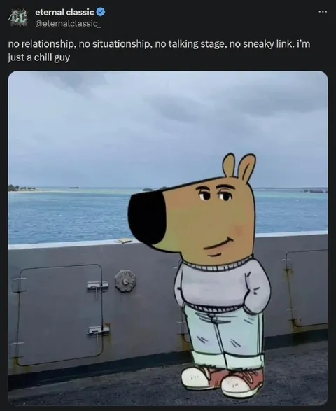 No Relationship Just a Chill Guy