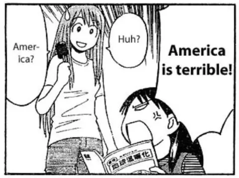America Is Terrible Reaction