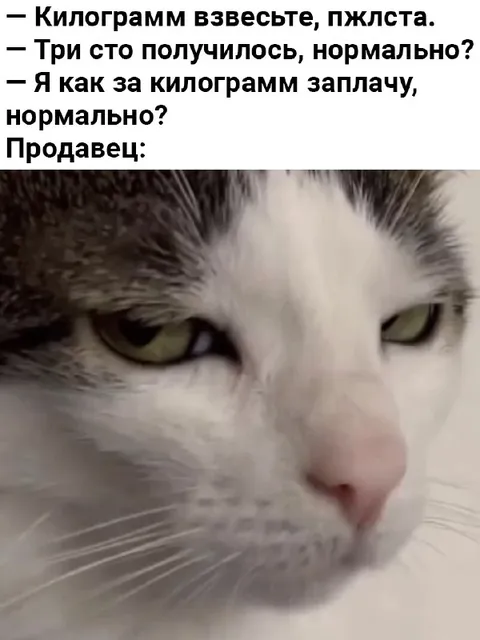 Кот недоволен ценой за килограмм