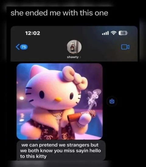 She Ended Me With This Kitty
