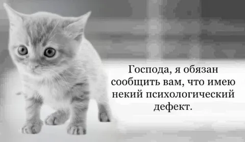 Кот сообщает о психологическом дефекте
