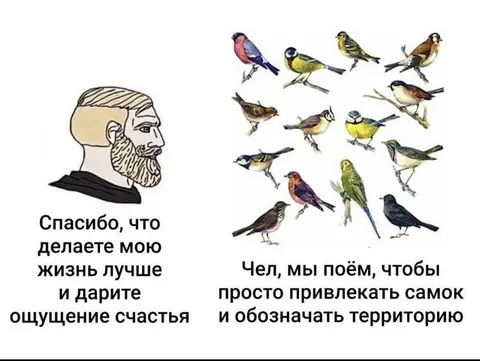 Птицы делают жизнь лучше