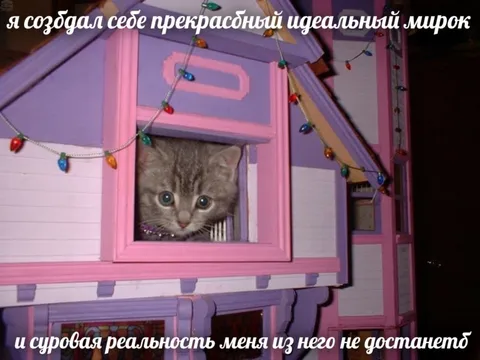 Идеальный мир и суровая реальность