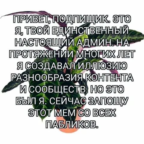 Единственный настоящий админ