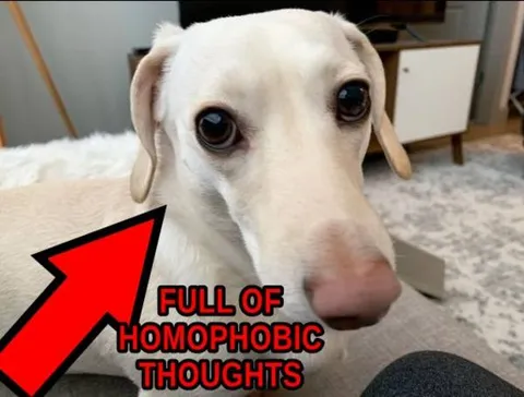 Dog Full of Homophobic Thoughts