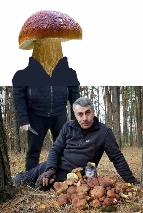 Грибник среди грибов