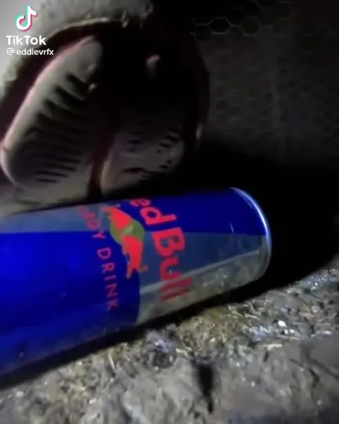 Cat Gets Energized by Red Bull