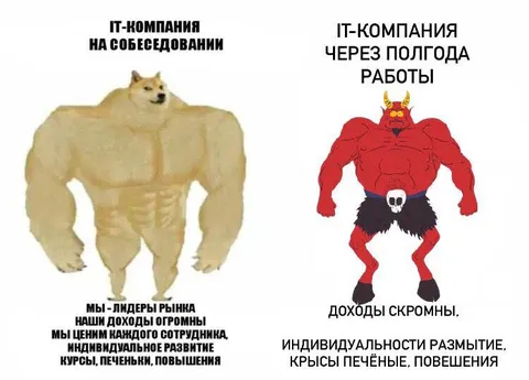 IT-компания до и после работы