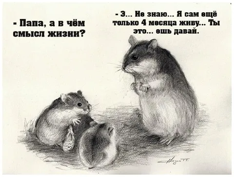 Мышонок спрашивает о смысле жизни