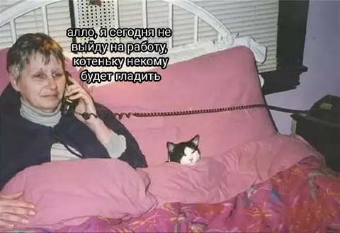 Котеньку некому гладить