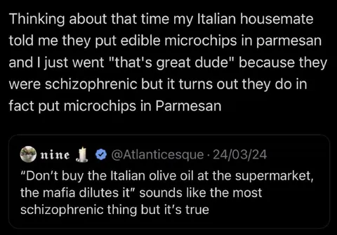 Edible Microchips in Parmesan