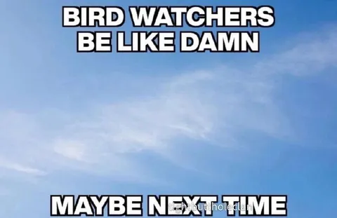 Bird Watchers Be Like Damn