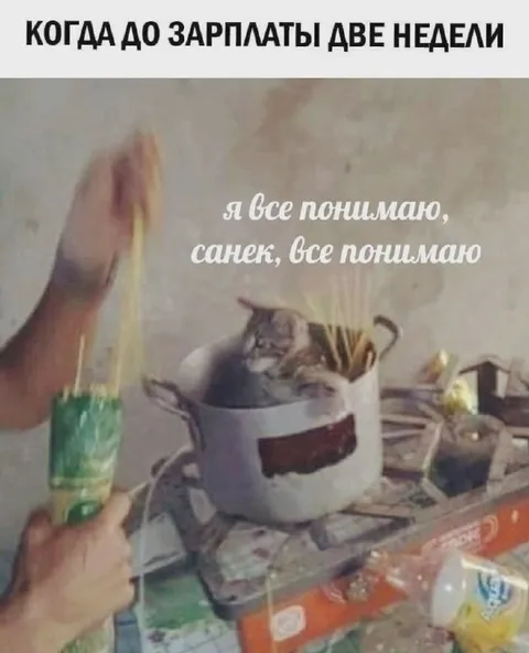Кот в кружке до зарплаты